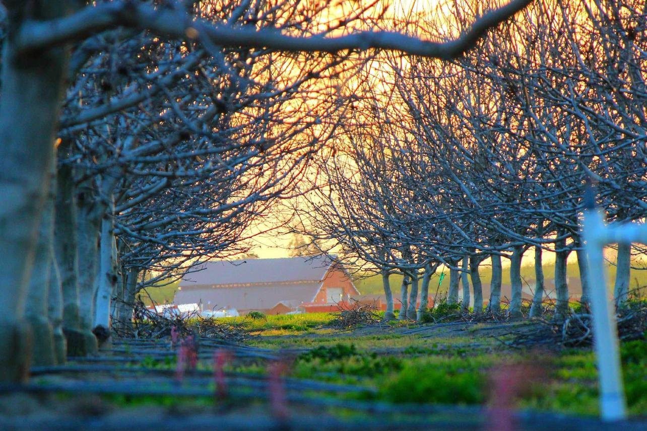 Consequatur qui error