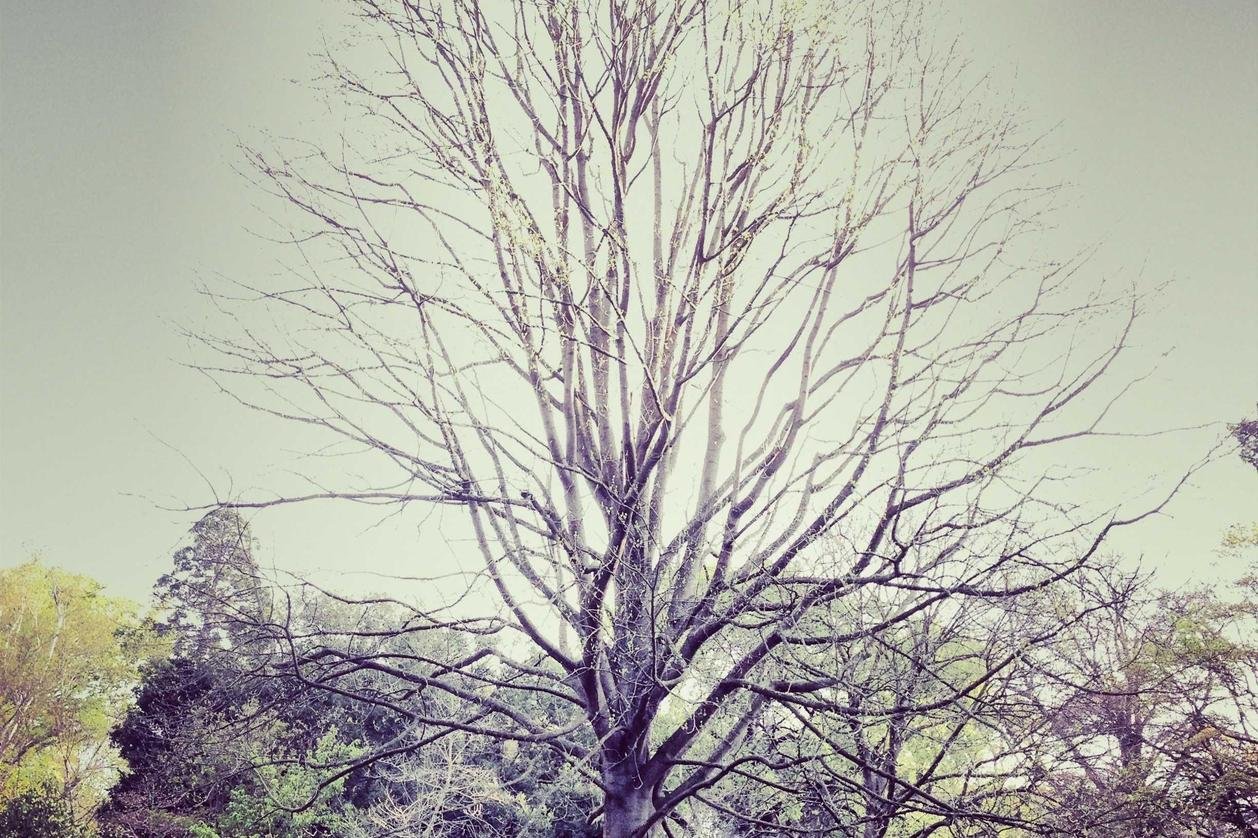 Odio quis reprehenderit harum autem nesciunt dolores praesentium